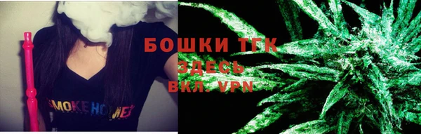 СК Волоколамск